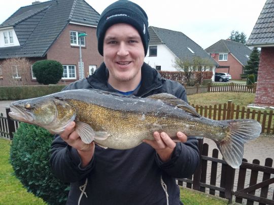 Zander