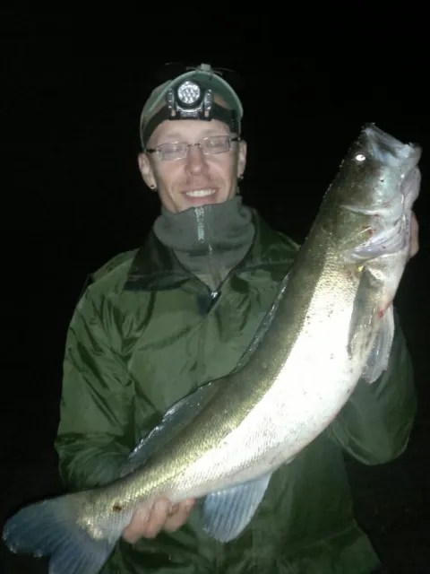 Zander