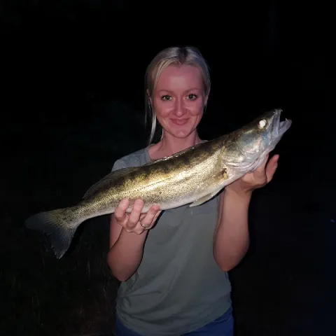 Zander