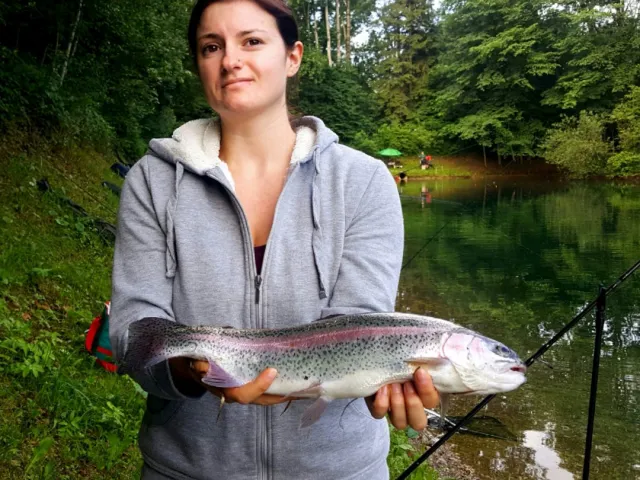 Regenbogenforelle