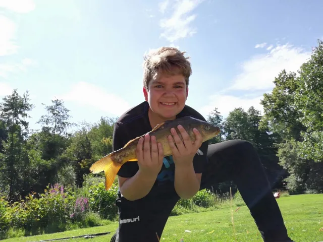 Karpfen