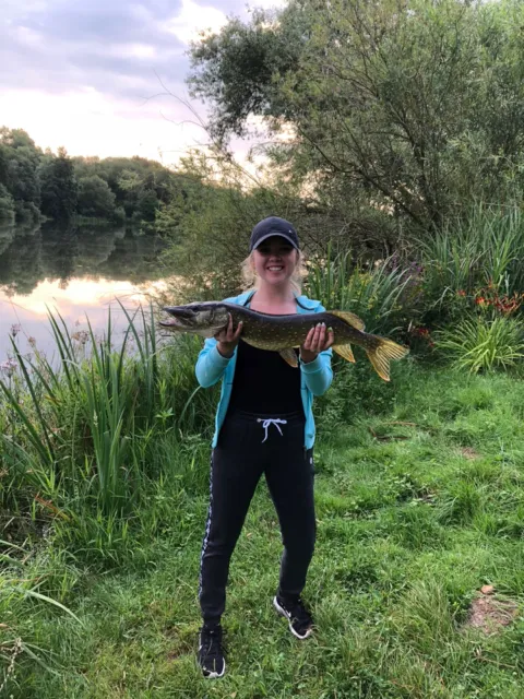 Hecht