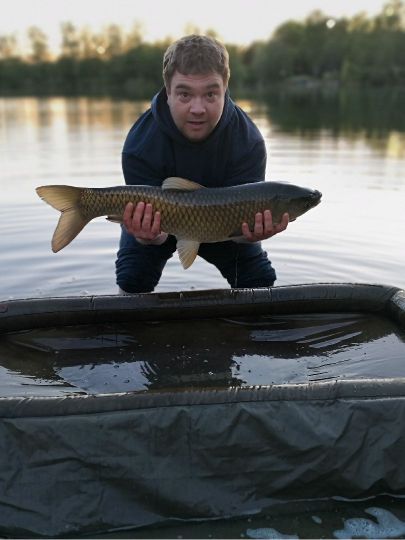 Graskarpfen