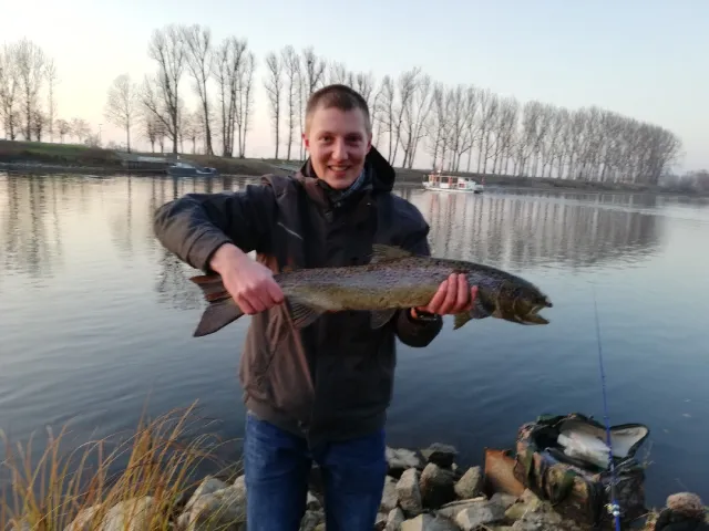 Lachs