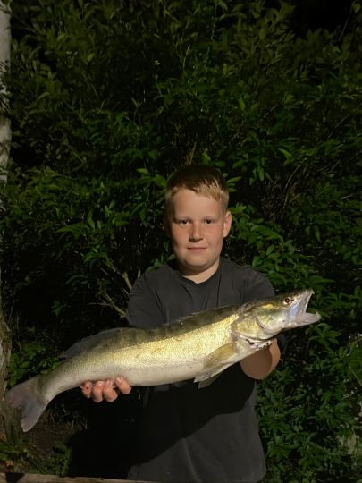 Zander