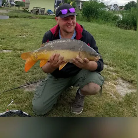 Karpfen