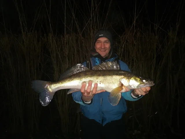 Zander