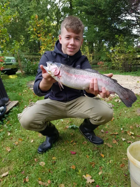 Regenbogenforelle