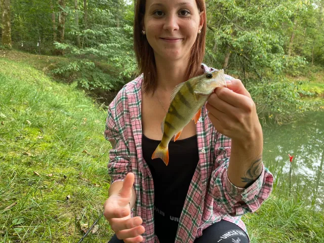 Flussbarsch