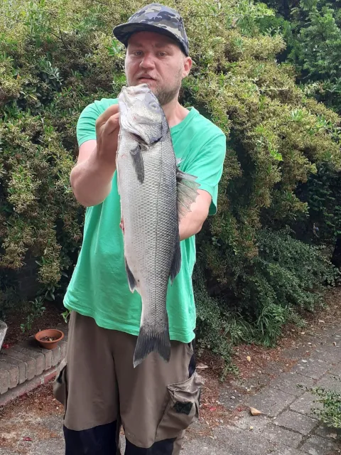 Wolfsbarsch