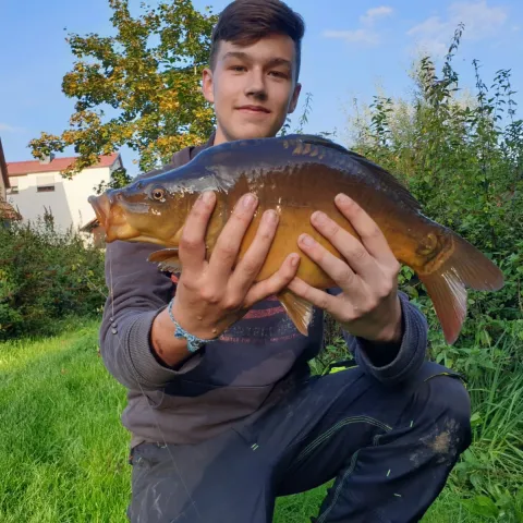 Karpfen