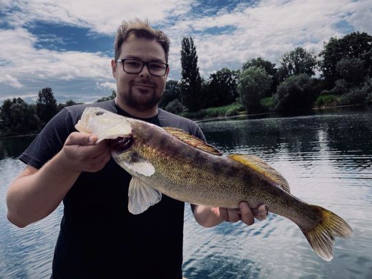 Zander