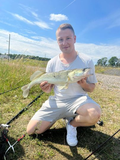 Zander