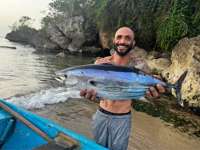 Bonito
