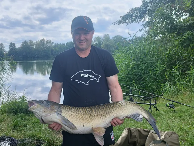 Graskarpfen