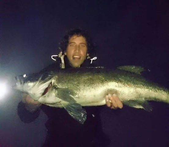 Zander