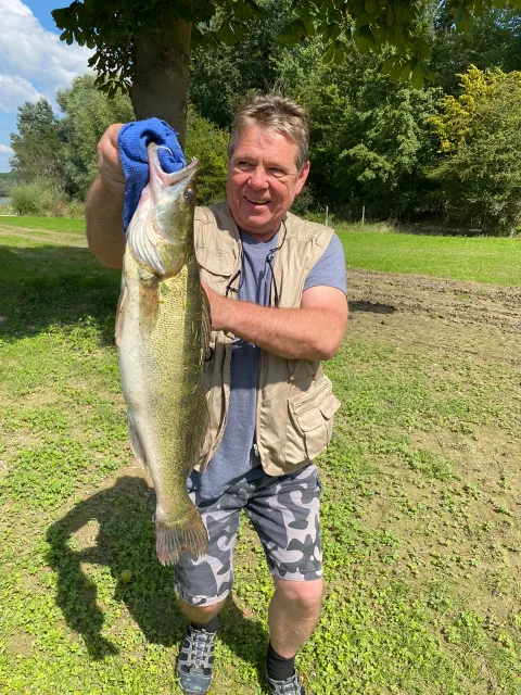 Zander