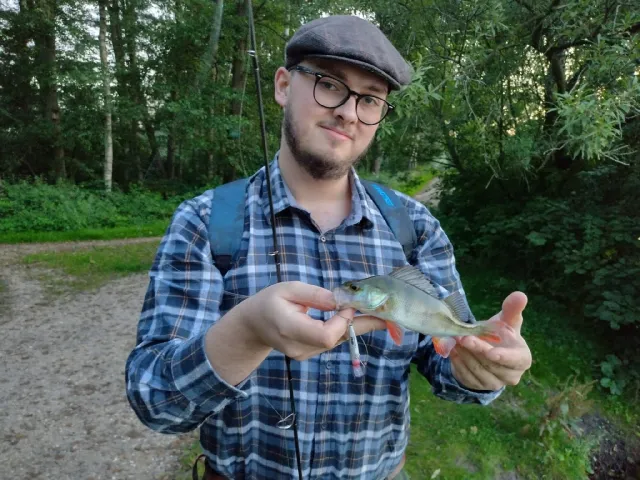 Flussbarsch