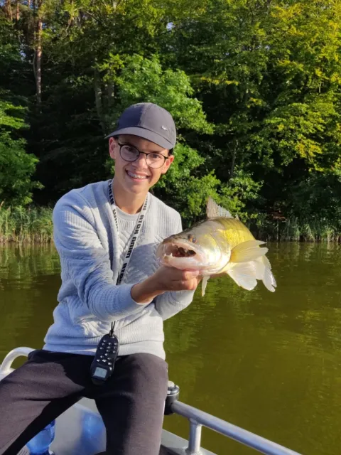 Zander