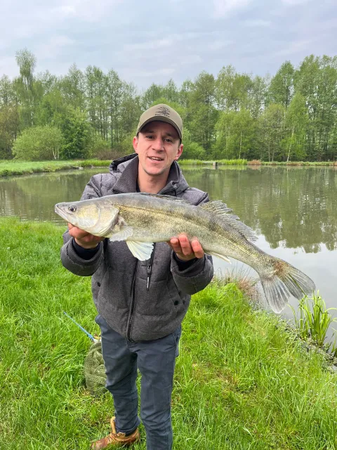Zander