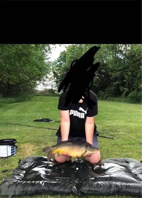 Karpfen
