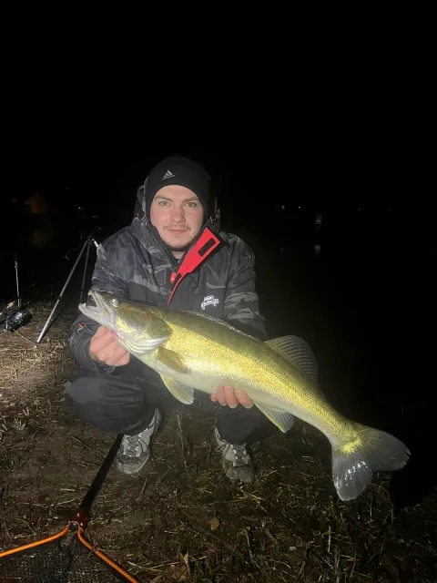 Zander