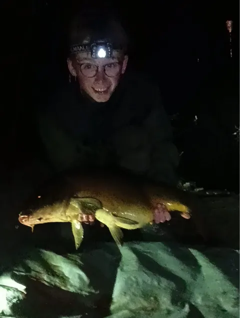 Karpfen