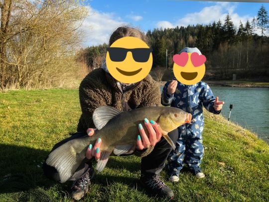 Schleie