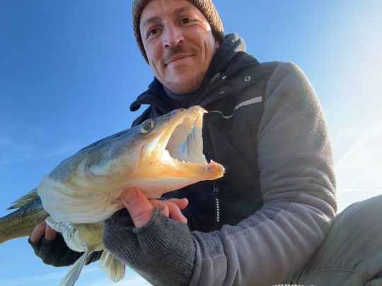 Zander