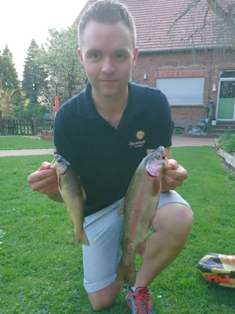 Regenbogenforelle