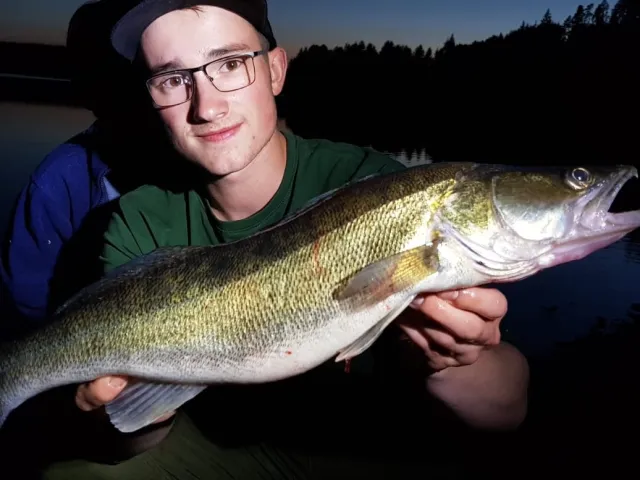 Zander