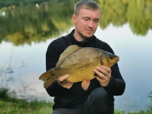 Karausche