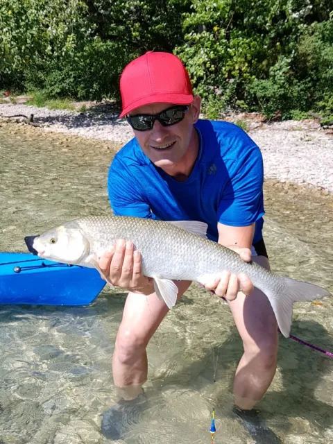 Perlfisch