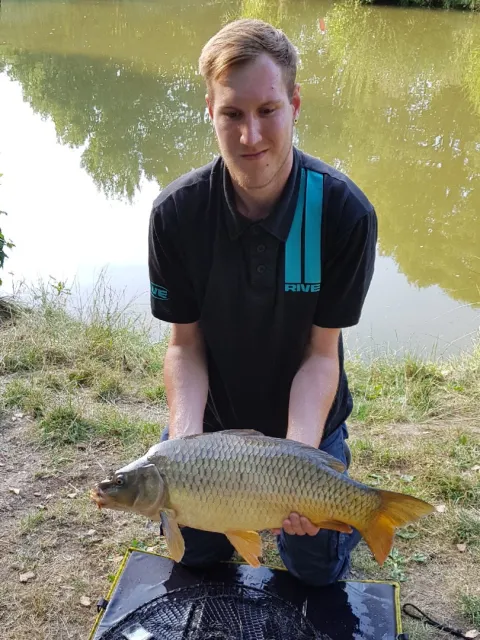 Karpfen
