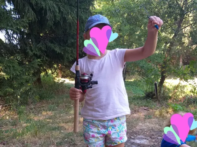 Rotfeder