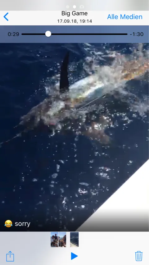 Marlin