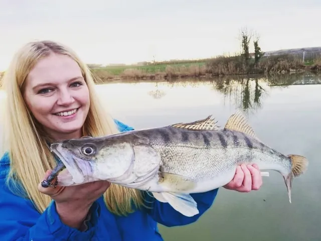 Zander