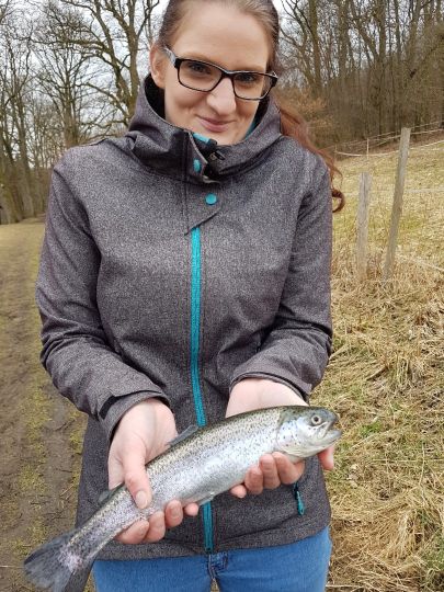 Regenbogenforelle