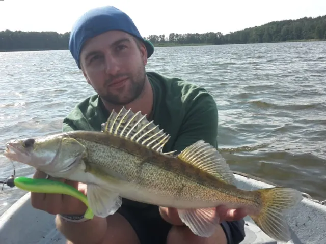 Zander