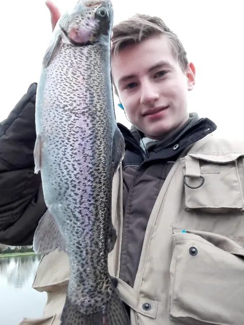 Regenbogenforelle