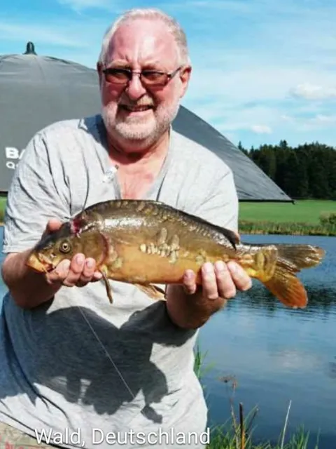 Karpfen