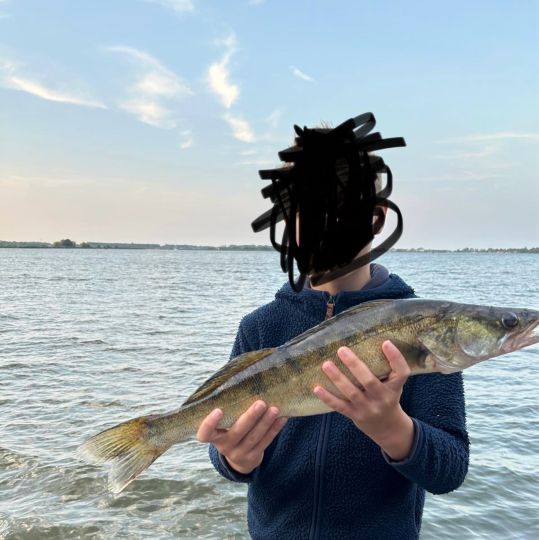 Zander