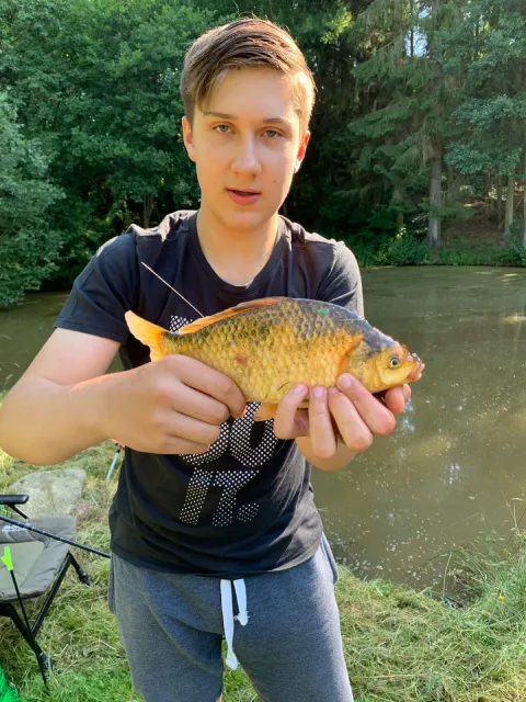 Goldfisch
