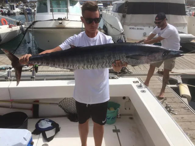 Bonito