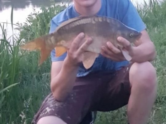Karpfen