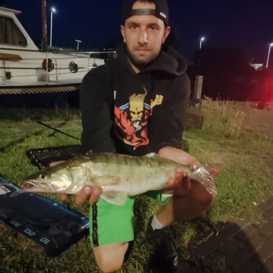 Zander