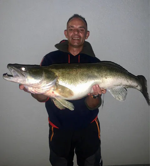 Zander
