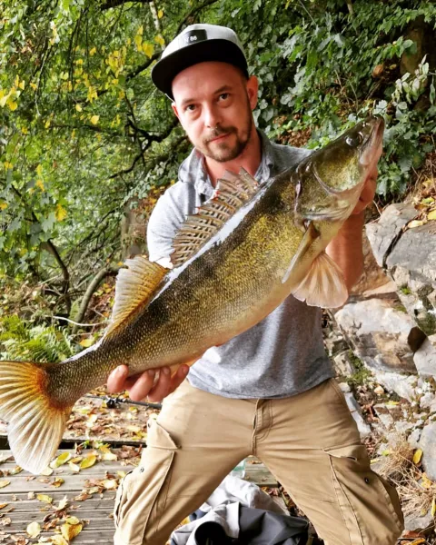 Zander