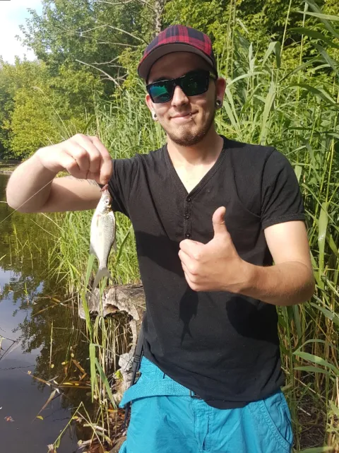 Güster