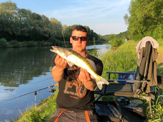 Zander